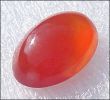 CARNELIAN AGATE CABOCHON (Brazil)  18 x 13 mm. � 9.62 ct.